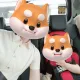 다소맘