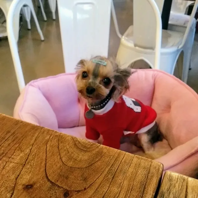 탄이맘
