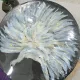 몽돌