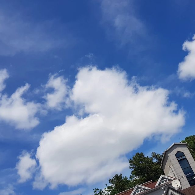리뷰 프로필 이미지
