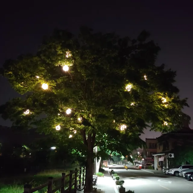 초코머핀
