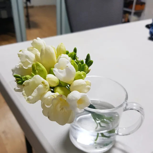 파란하늘바라보기