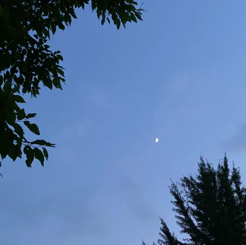 월급노예