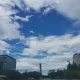 보스베이비냥
