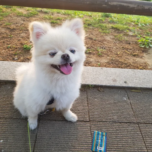 오렌지92
