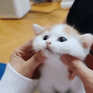 여기있어