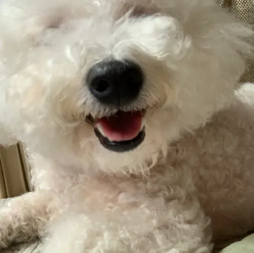 무우웅치
