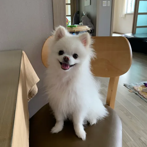 에옹