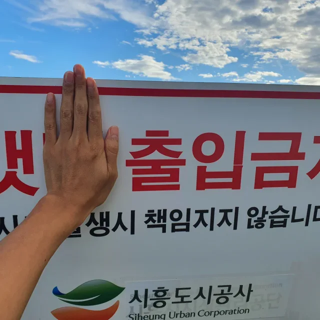 갯강구