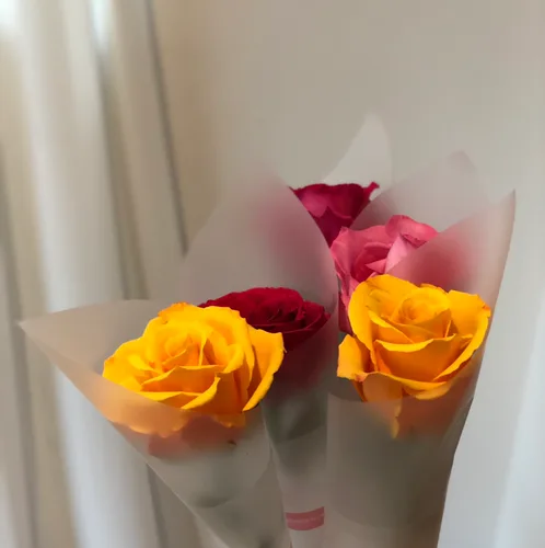 판교드림