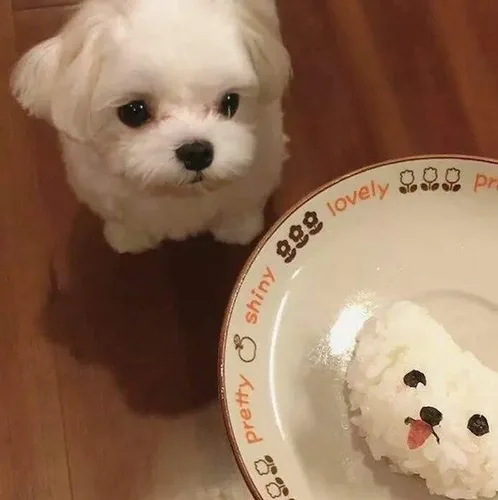개똥이