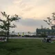 라일리