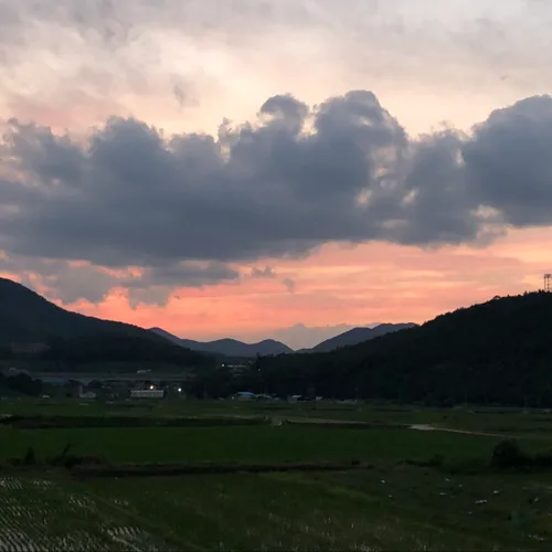 메모