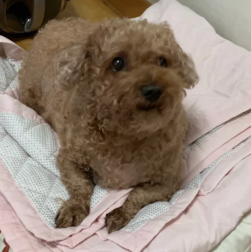 떠나요뚱이랑