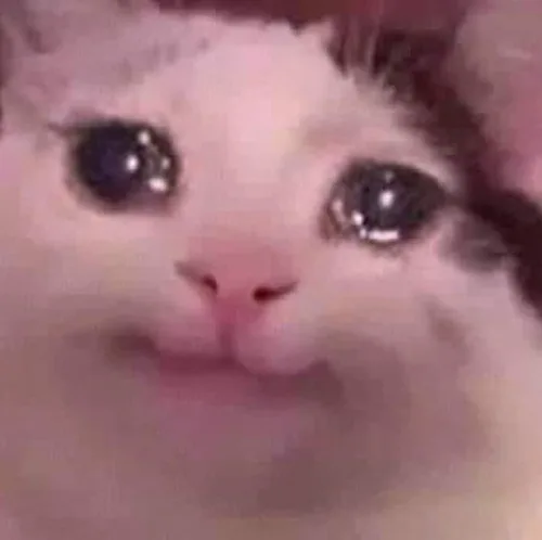 웅웅앵