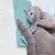 애신맘