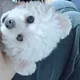호율
