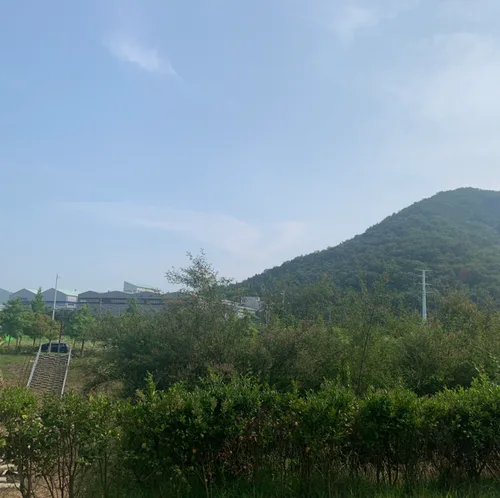 하늘정원11