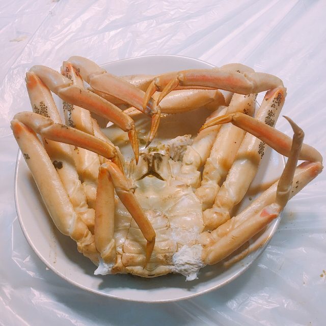 양양2