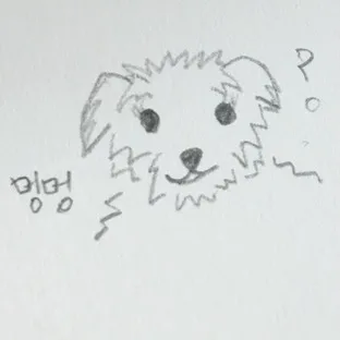 포도