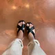 데일리