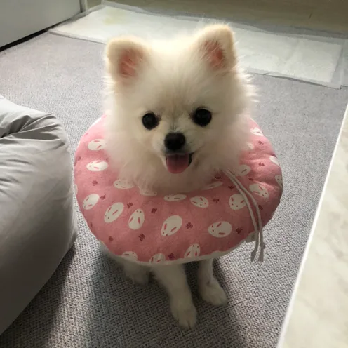 구름