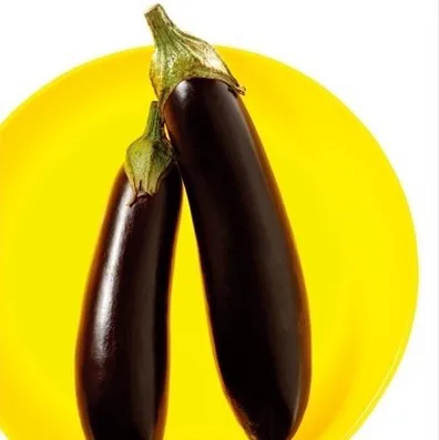 가지