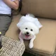 꾸리미