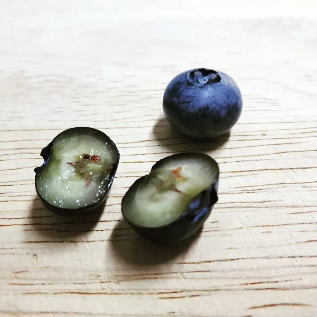 오제이