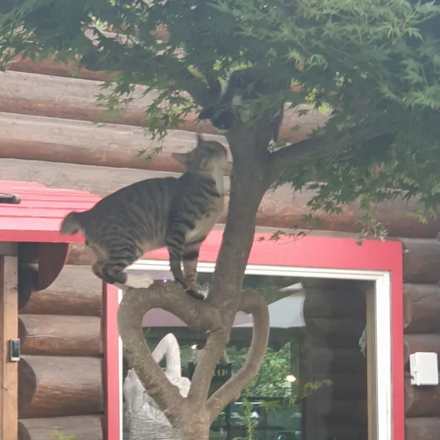 바다로가는길
