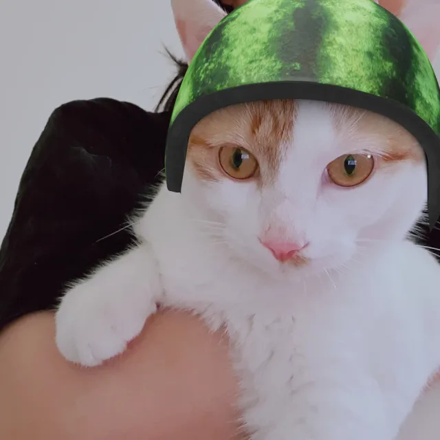 조이리