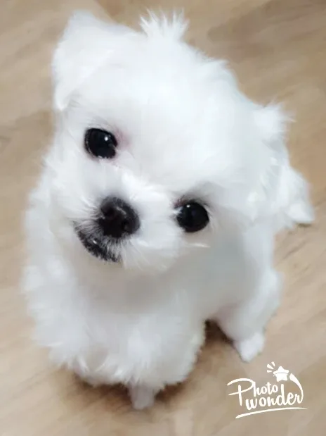 태양맘