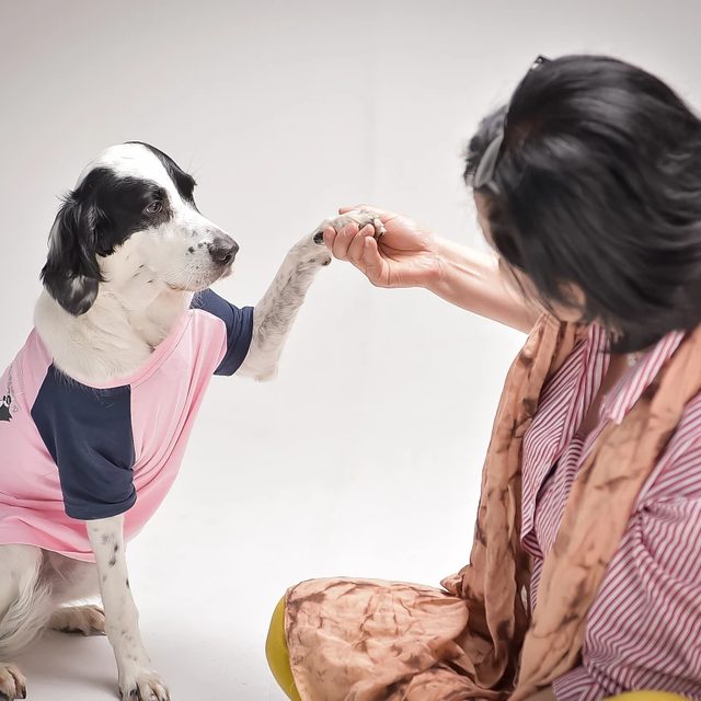보리