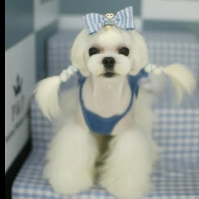 시크릿빨리비우기