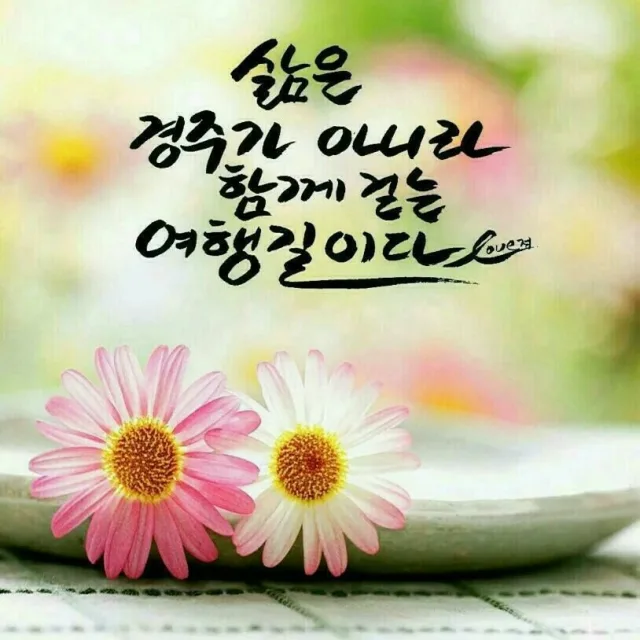 귀염뽀짝