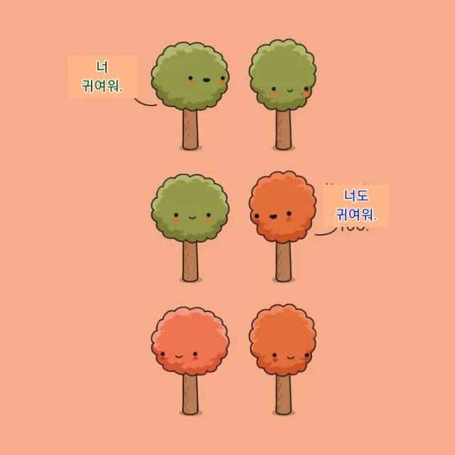 가나다라마법사