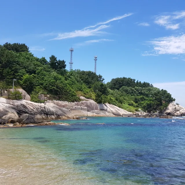 밤구