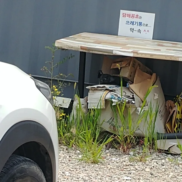 포미메리안