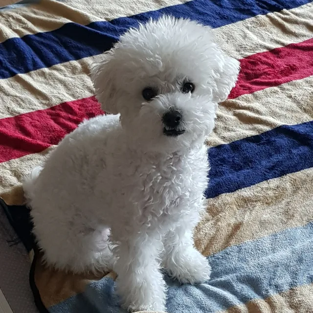 가을빠