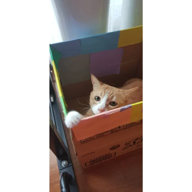 쫑쫑귀요미