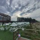 헤라1230