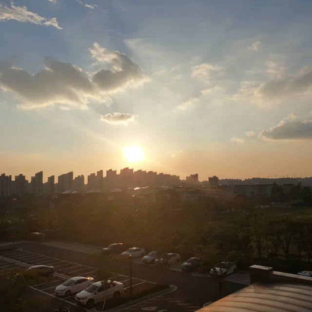 당근이조아