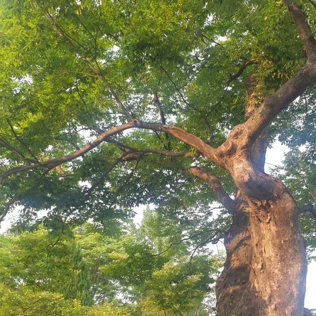 행복만땅