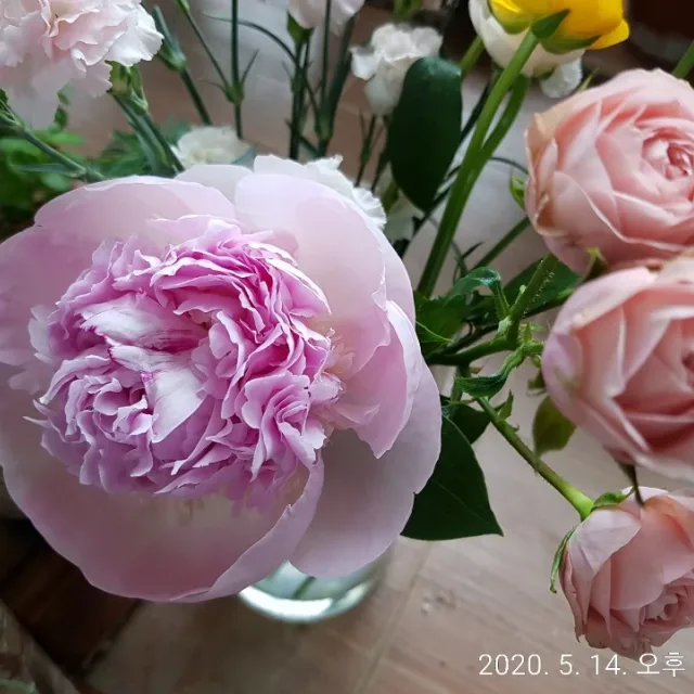 써니