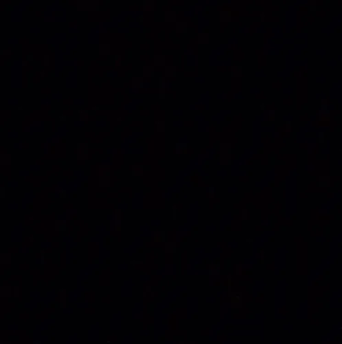 슈슈미