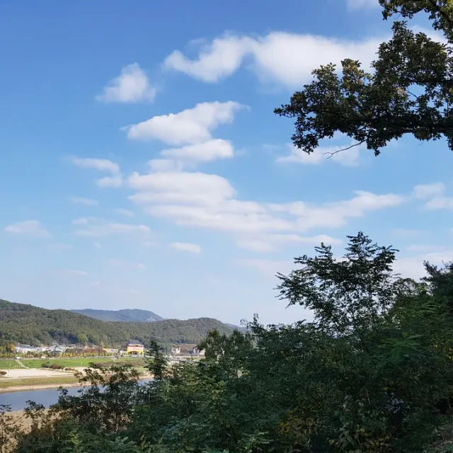 쿠당