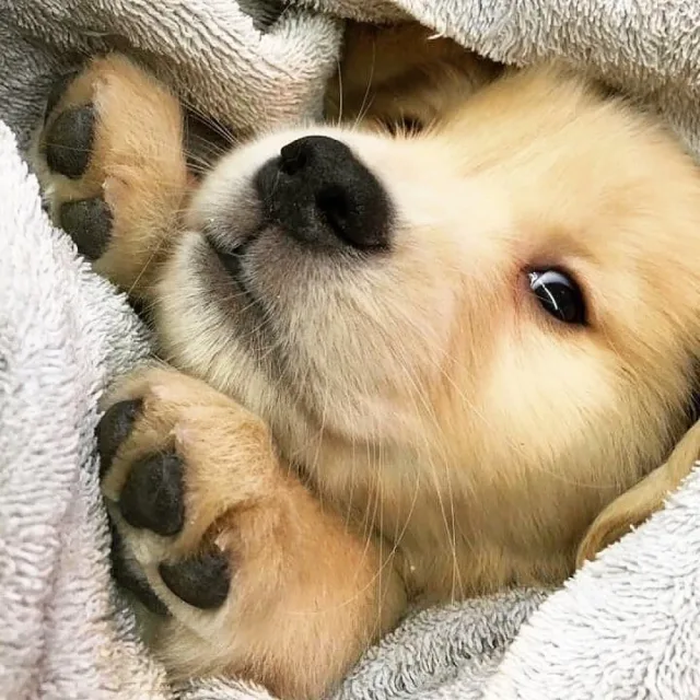 곰은우엉우엉