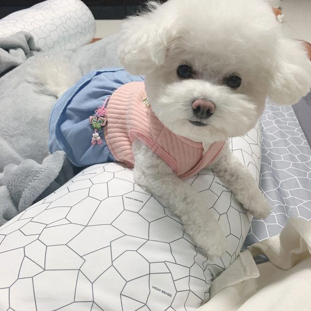 리뷰 프로필 이미지