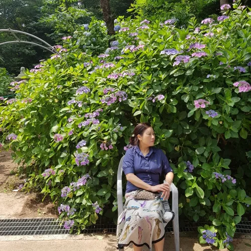 짜야