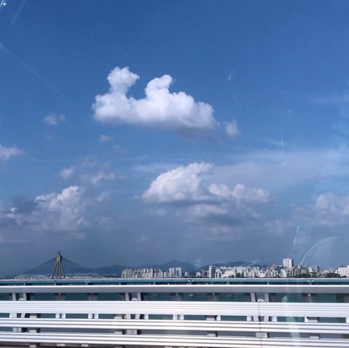당근danggeun